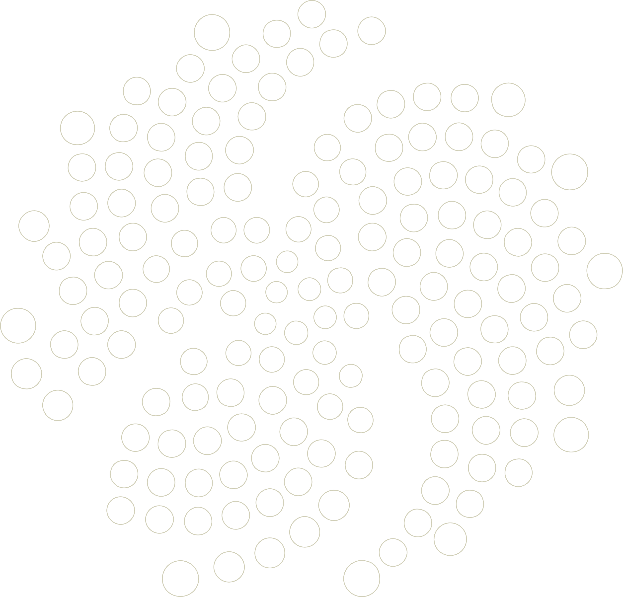 Australis Logo See Through